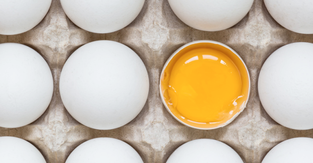 Jak poznat, že vejce snesla zdravá slepice? Zaměřte se na tuto věc Náhledový obrázek